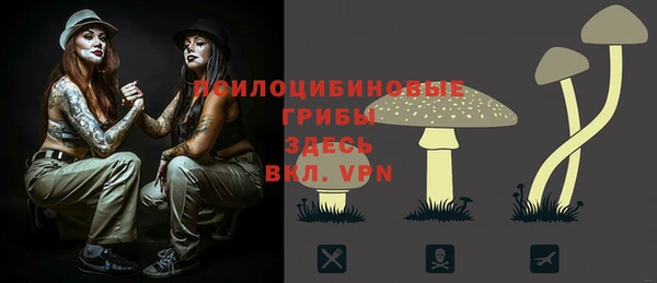 гидропоника Архангельск