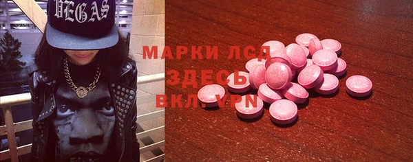 шишки Корсаков